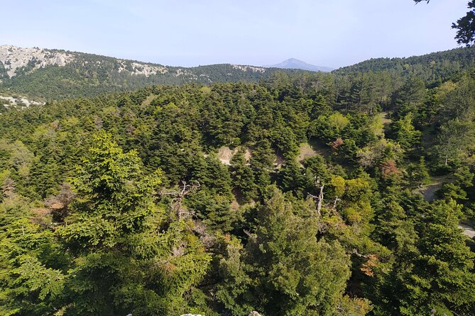 1 Day Parnitha Athens Private Hiking Tour with Hotel Pickup - Key points at a glance