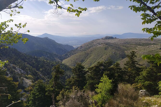 1 Day Parnitha Athens Private Hiking Tour with Hotel Pickup - Fir forest, shade, and a quieter side of Athens