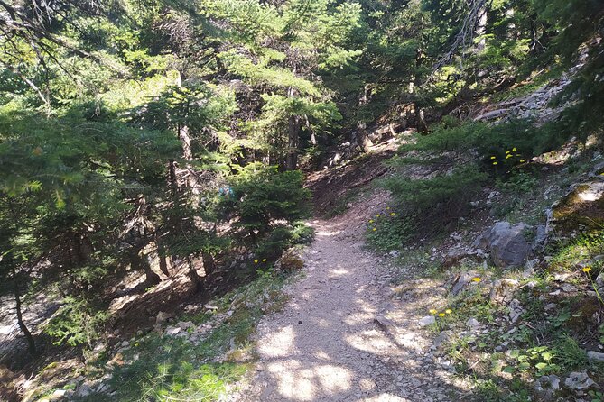 1 Day Parnitha Athens Private Hiking Tour with Hotel Pickup - The practical value of a $180.23 private tour