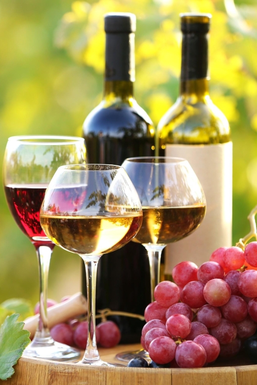 11 Course Lunch, Wine Tasting & Cooking Mastery in Rhodes - What $160 really buys you