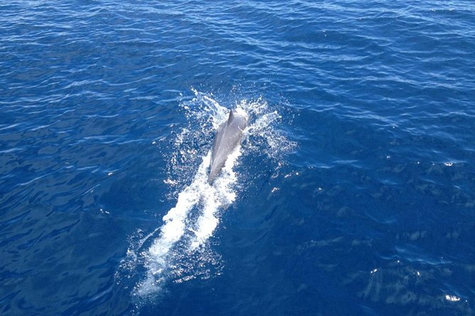 2-Day Halkidiki Sailing Cruise - Cleanliness and onboard comfort
