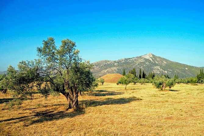 2 Days Herodotus Tour - Marathon, Thermopylae, Delphi, Thebes, Plataea, Salamis - Mount Cithaeron, Eleutherai, and the Salamis route
