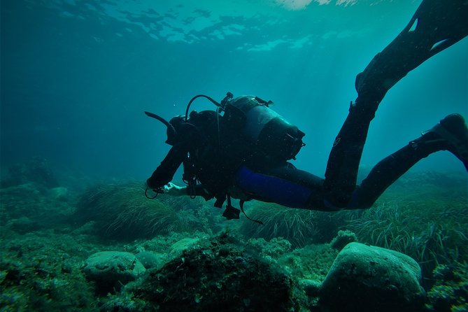 2 Dives Package - Key points to know before booking