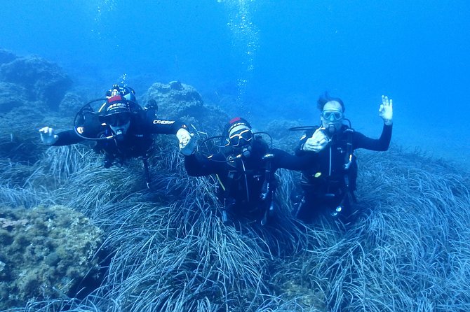 2 Dives Package - Why the second session can still be worthwhile