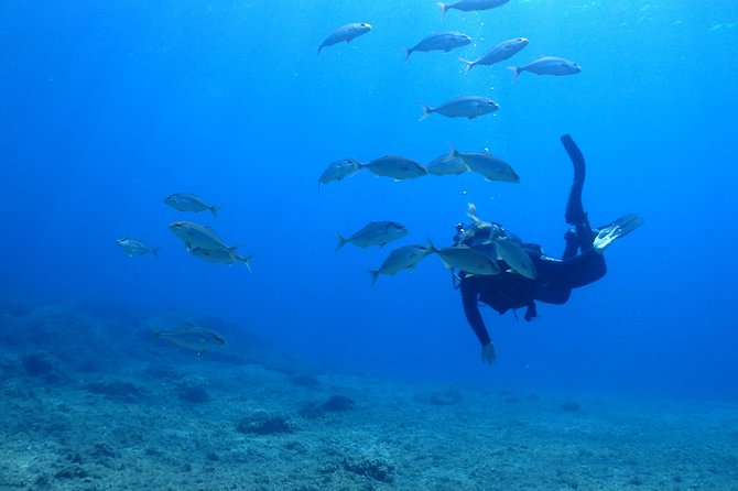 2 Dives Package - Equipment, safety, and group size