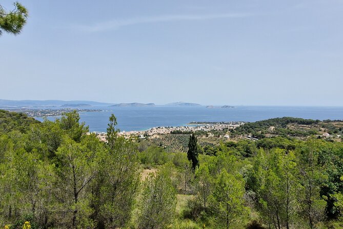 2-Hours 4X4 Tour in Spetses Safari - What Petros adds to the drive