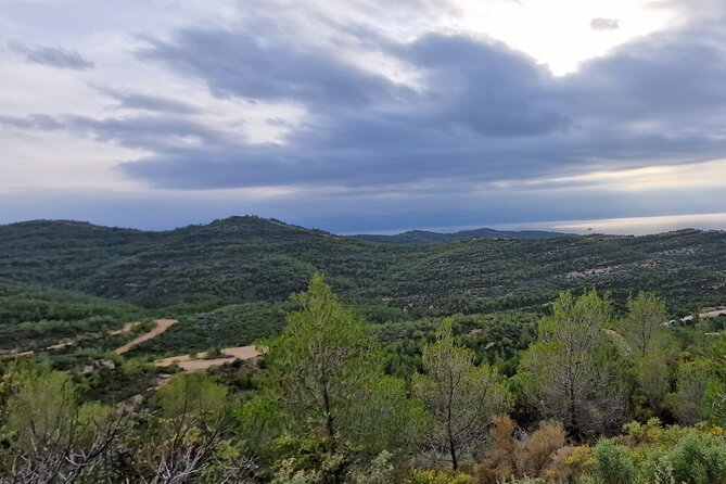 2-Hours 4X4 Tour in Spetses Safari - Price, group size, and practical value