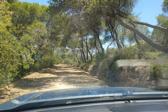 2-Hours 4X4 Tour in Spetses Safari - The first hour: forest tracks and island viewpoints