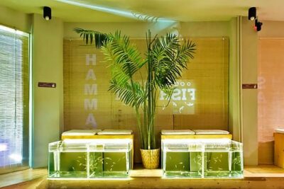 20-Minutes Natural Pedicure with Exotic Fish - Key points at a glance