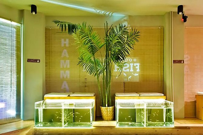 20-Minutes Natural Pedicure with Exotic Fish - Key points at a glance