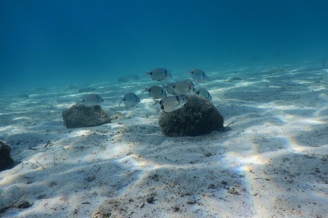 3 Hour Private Scuba Diving Experience - Key Points at a Glance