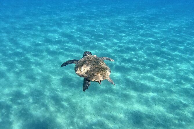 3 Hours Marathonissi Island Tour, Keri Caves and Turtles Spotting - Price and value: what $30 gets you in Zakynthos time
