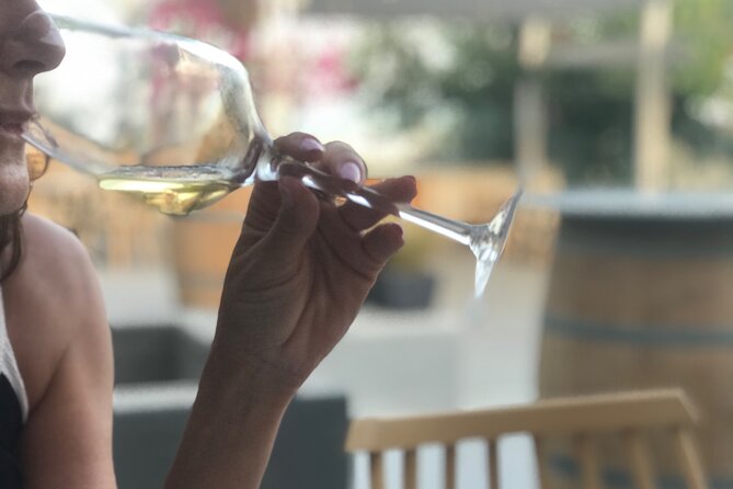 3 Wineries wine tasting & Greek Meal -Food and Wine pairing - Small Group Transport Keeps the Day Manageable