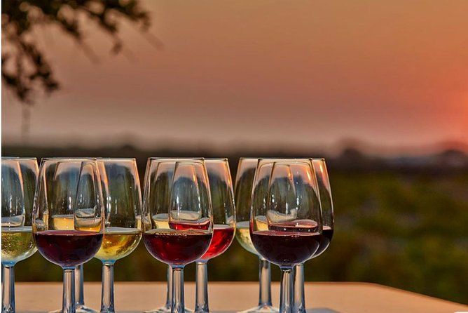 4.5 Hours Through the Grapevine Private Wine Tour - Key points at a glance