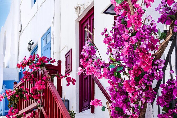 4Hours Mykonos Adventure Walk in Town & Minivan Countryside Tour - Minivan + Walk: A Practical Balance for Getting More Done