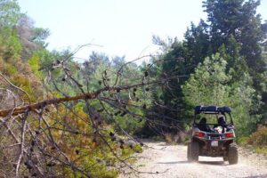 4x4 Buggy Adventures - Off-road Polaris Experience - Your machine and the driving rules (age and license matter)