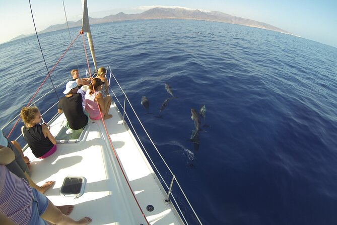 5,5 hours Private Sailing Trips from Heraklion to Island of Dia - Who Will Get the Most From This Trip