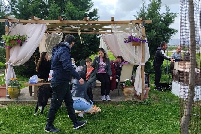 5 Hours Private Cooking Classes in Langadas Thessalonikis - Learning recipes passed through the family