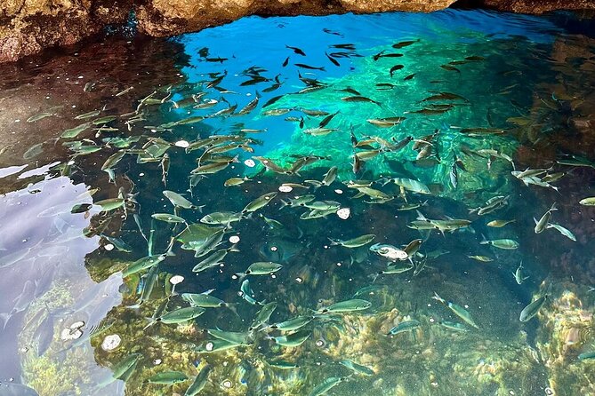 A Relaxing Private Corfu Sea Tour for Cruise Passengers - Lunch, drinks, and the practical comfort factor