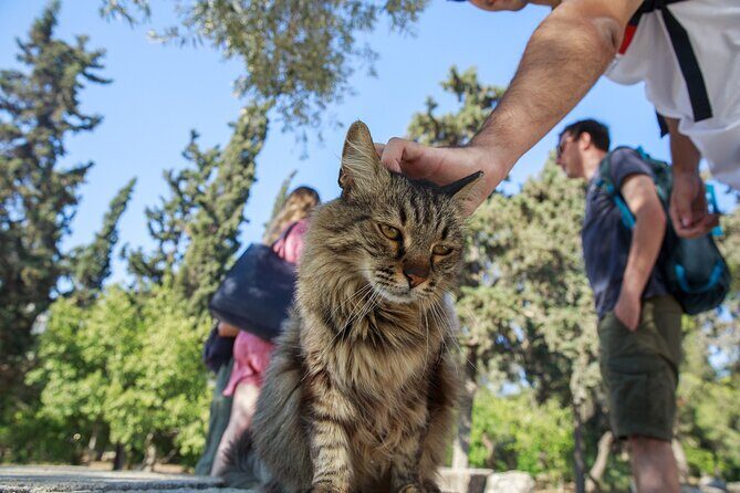 Acropolis of Athens, Ancient Agora and the Agora Museum Tour - Physical Reality Check: Heat, Steps, Security Lines, and Pickpocket Awareness
