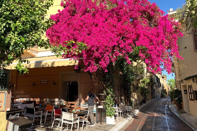 Acropolis & Plaka Neighbourhood Private Tour with Licensed Expert - Photo timing and pacing: how to avoid the worst moments