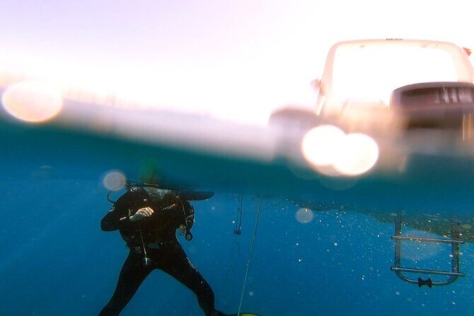 Adventure Dives for Certified Divers in Nea Makri, Athens - Speedboat hops to Platourada, Dipsa, and Marathon Cape