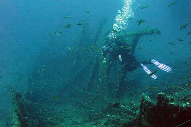 Adventure Dives for Certified Divers in Nea Makri, Athens - Getting to Kanelakis in Nea Makri (and why it matters)