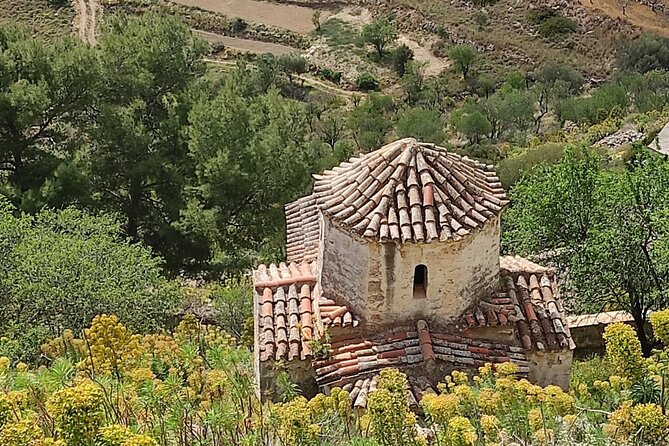 Aegina Guided Discovery Tour - see the significant sights! - Seeing the Temple of Aphaia among the pines
