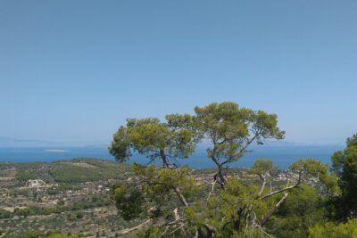 Aegina Island St Nektarios & Temple of Athina Aphaia Private Tour - Aegina waterfront: a brief first look