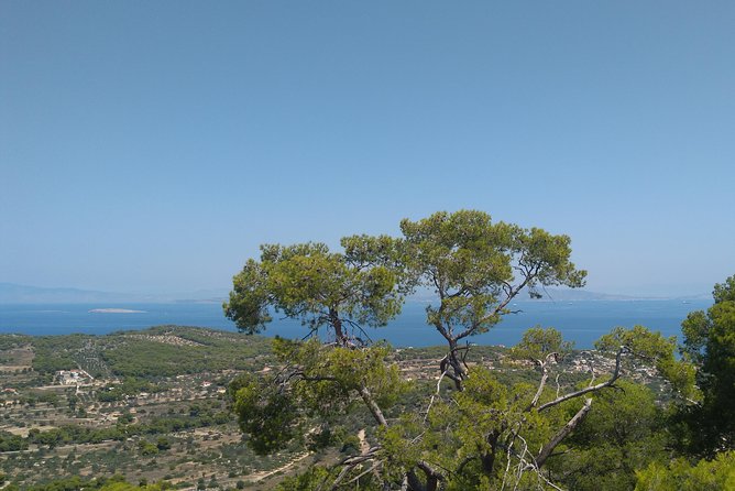 Aegina Island St Nektarios & Temple of Athina Aphaia Private Tour - Aegina waterfront: a brief first look