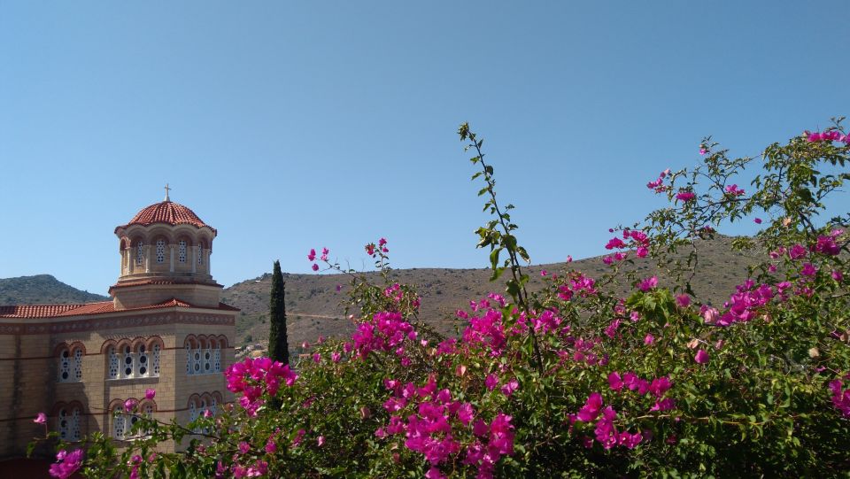 Aegina Island & Temple of Athina Aphaia Private Day Tour - How flexible is the private experience?