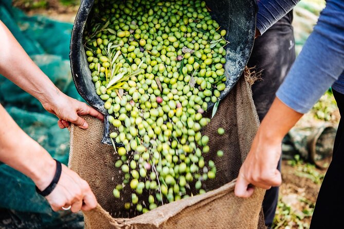 Afternoon Tour: Soap, Olive Oil & Wine Stories of Peza Village - The Soap Workshop Turns Olive Oil Into a Souvenir