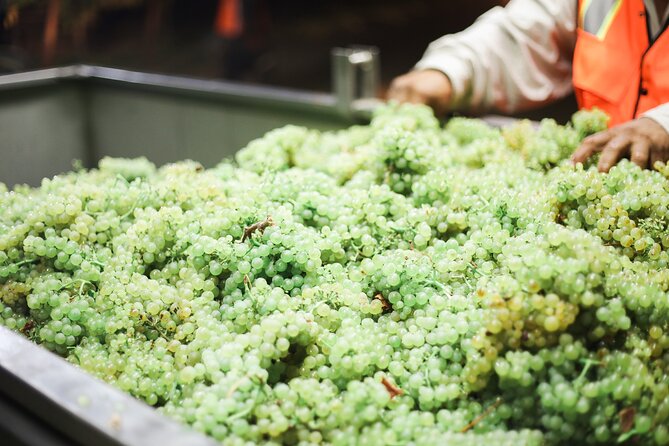 Afternoon Tour: Soap, Olive Oil & Wine Stories of Peza Village - Who Will Enjoy This Peza Tour Most?