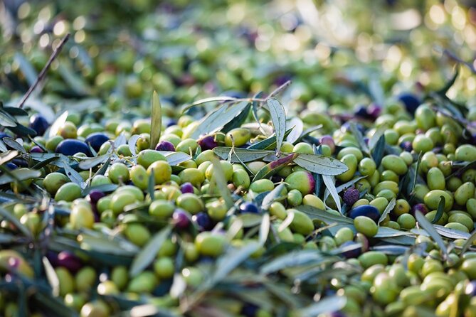 Afternoon Tour: Soap, Olive Oil & Wine Stories of Peza Village - Practical Details Before You Reserve