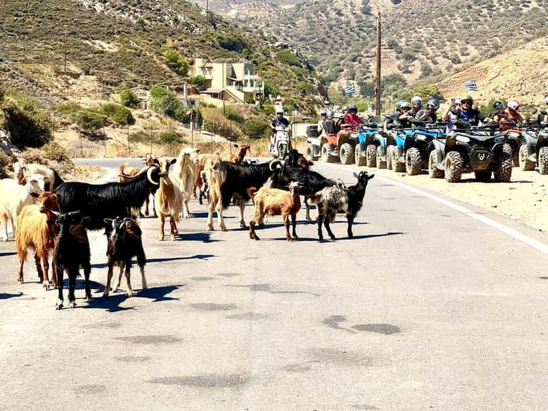 Ag. Pelagia: Nature Quad Tour & Village visit - Fodele: orange groves, village life, and a proper break
