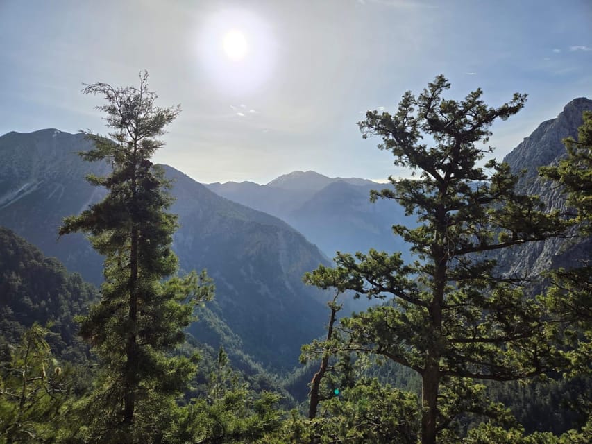 Agia Marina: Discover Samaria, the longest gorge in Europe! - Breakfast in Omalos before the trail