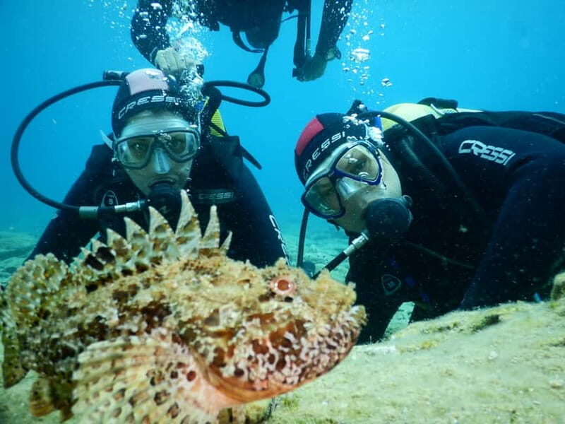 Agia Pelagia: Introduction to Scuba Diving Experience - Key Things That Make This Experience Worth It