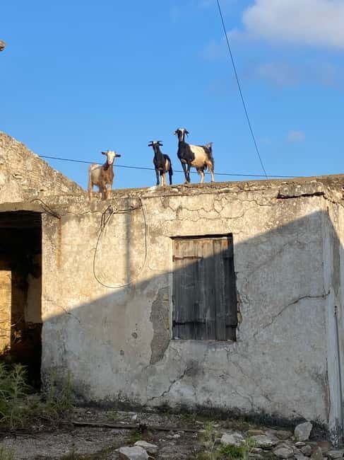 Agia Pelagia: Sunset or Morning Quad Tour & Ghost Town Visit - What to Bring (and What Not to Bring) for a Smooth Day