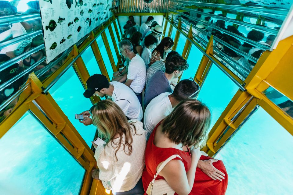 Agios Nikolaos: Semi-Submarine Cruise - The chance of turtles, dolphins, and seals