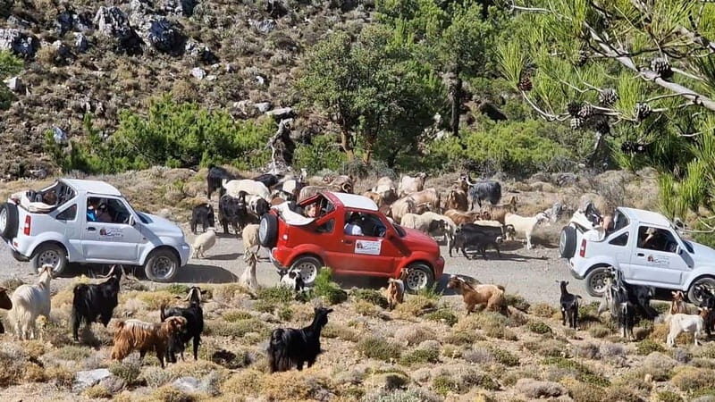 Agios Nikolaos: Thripti Mountain Villages Jeep Tour w/Lunch - Thripti Mountains by open-top Jeep: what the day feels like
