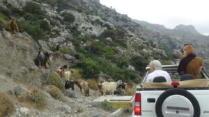 Agios Nikolaos: Thripti Mountain Villages Jeep Tour w/Lunch - Pickup from Agios Nikolaos and nearby towns: you’ll start moving fast