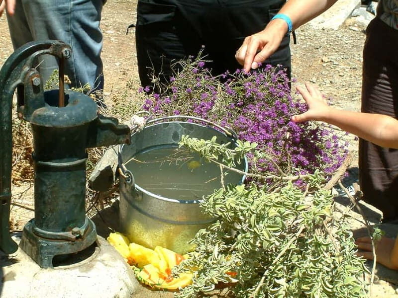 Agios Nikolaos: Thripti Mountain Villages Jeep Tour w/Lunch - Mochlos taverna lunch: Greek food with time to breathe