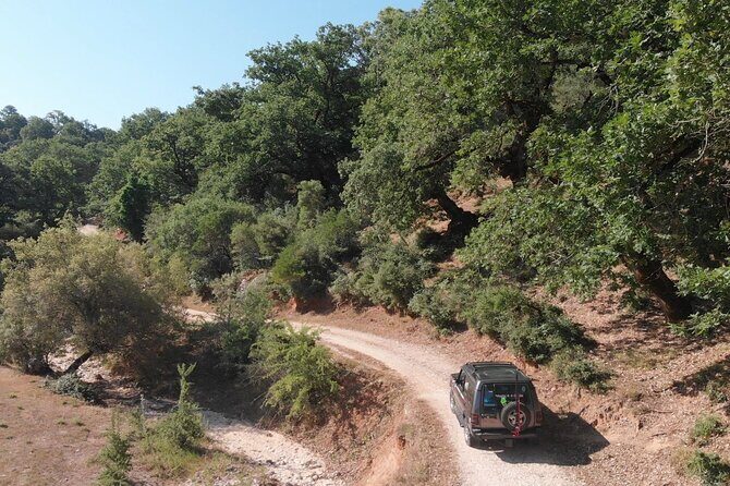 All Day 4x4 Adventure / Lefkada / With Brunch - The Oak Forest Start (673m): Sage-Mint Tea and Real View Time