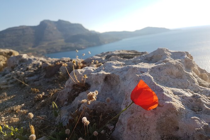 All in One Full Day Rhodes Island Tour for First Time Visitors - What this Rhodes tour is really trying to do