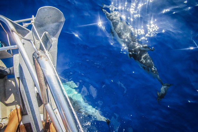 All inclusive day sailing tour from Naxos to the small cyclades - The Small Cyclades by boat