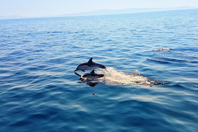 All-Inclusive Full-Day Cruise & Lunch - Skopelos water time: turquoise views and real snorkeling time