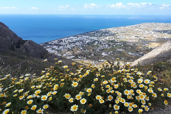 Amazing sightseeing in Santorini 2022 - Megalochori and its traditional village character