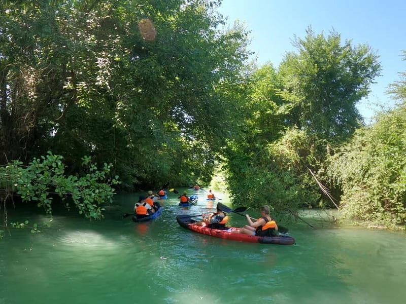 Ammoudia: Kayak down the Acheron 5.5 km - Key Points Worth Your Time