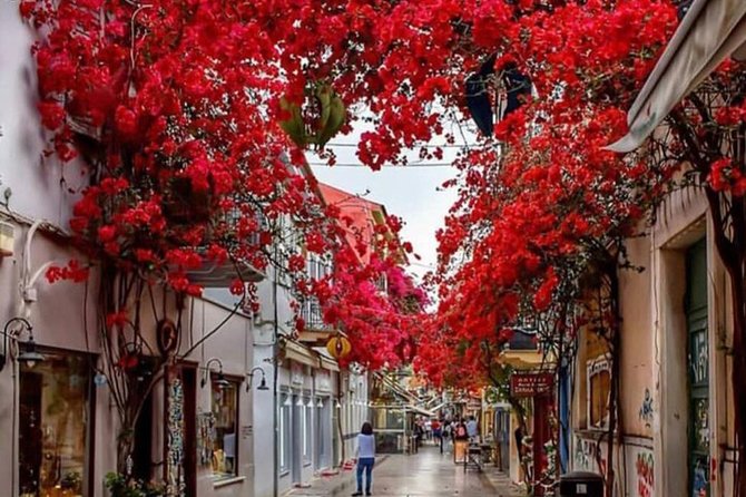 Ancient Corinth, Mycenae, Epidaurus, Nafplion Private Day Trip With Great Lunch - The driver makes or breaks the day