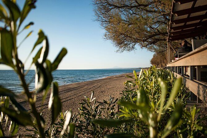 Ancient Olympia & Kourouta Beach - All Included Tour - Ancient Olympia: where Zeus and the Olympic Games meet
